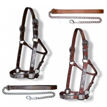 Showhalfter "Silver Engraved"