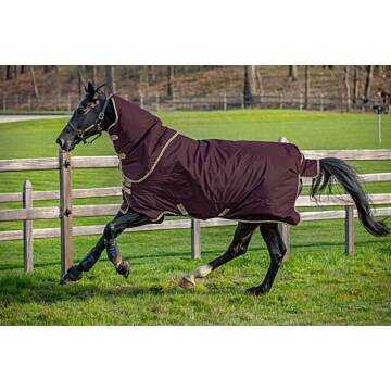 HORSEWARE Amigo Hero 600D Ripstop Plus Lite 0g Fig/Navy & Tan