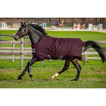 HORSEWARE Amigo Hero Ripstop Fleece lined 50g Fig/Fig