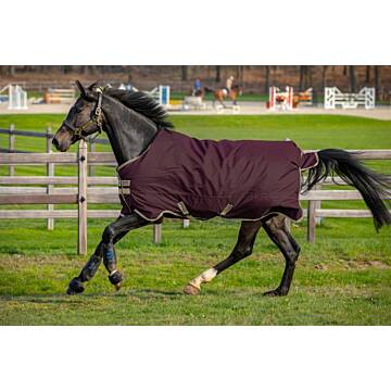 HORSEWARE Amigo Hero 600D Ripstop 100g Fig/Navy & Tan