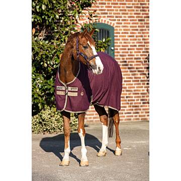 HORSEWARE Amigo Jersey Cooler Abschwitzdecke Fig/Navy
