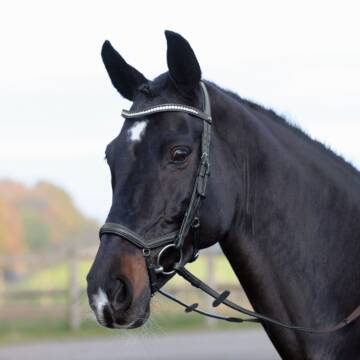 Busse Trense EMOTION schwarz/Kristall
