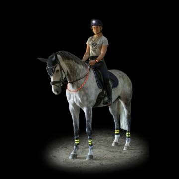USG LED-Beleuchtungsset 