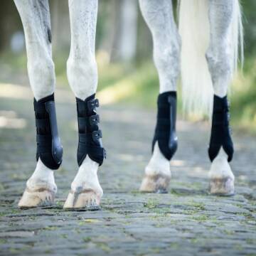 Busse Gamaschen DRESSAGE-PRO-MESH Schwarz