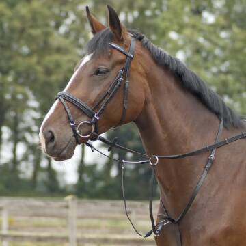 Busse Martingal BASIC- PRO
