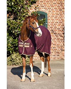 HORSEWARE Amigo Jersey Cooler Abschwitzdecke Fig/Navy