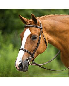 Hunter Bridle Fancy Stitched Dark Brown