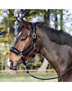 Busse Halfter COMFY-LACK Schwarz