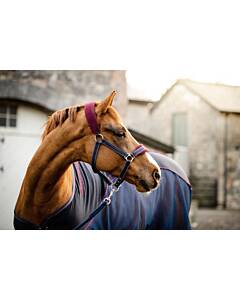 HORSEWARE Rambo Padded Headcollar Navy/Burgundy